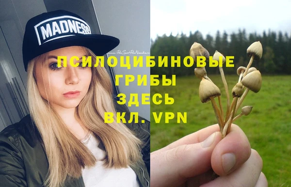 амф Алексин