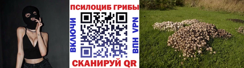 закладка  Печоры  Псилоцибиновые грибы прущие грибы 